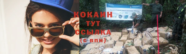 дживик Алзамай