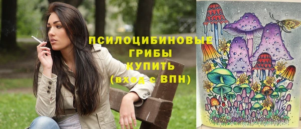 марки lsd Абаза