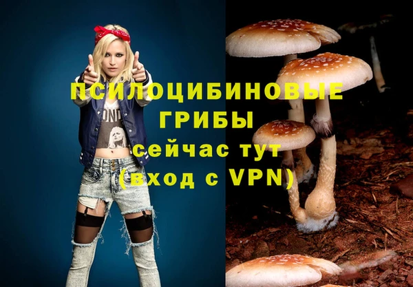 дживик Алзамай