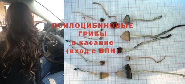 шишки Алексеевка