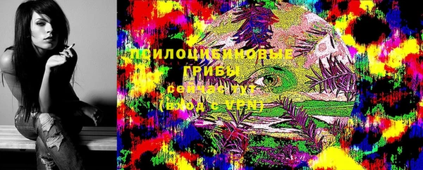 дживик Алзамай